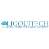 LigouiFlow logo - Similar company to Mark Social