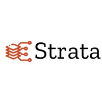 StrataMinds AI logo - Similar company to Codesqad
