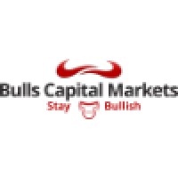BullsCapitalMarkets logo - Similar company to Wolfram Tech