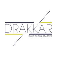 CABINET DRAKKAR logo - Similar company to Drive Generation Rh