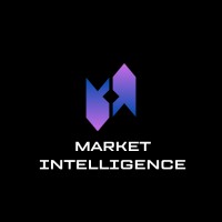 Market Intelligence Lab logo - Similar company to Visiovate Ventures
