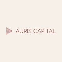 Auris Capital logo - Similar company to Sunfly Solutions