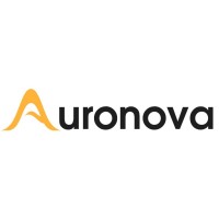 Auronova Consulting logo - Similar company to Geekygulli Studios