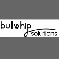 Bullwhip Solutions, LLC logo - Similar company to Adwin Consulting