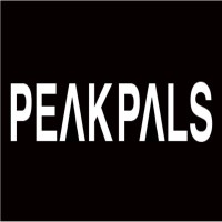 PeakPals logo - Similar company to W3 Dev