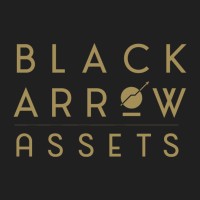 Black Arrow Assets logo - Similar company to Trusted Scale Llc