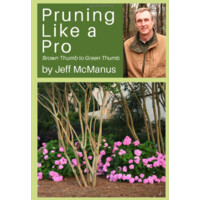 Pruning Like A Pro
