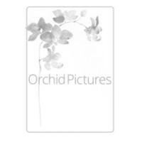 Orchid Pictures logo - Similar company to Dramsoc