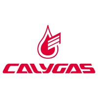 CALYGAS logo - Similar company to Gasfriocalor.Com