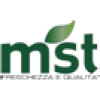 MST s.r.l. logo - Similar company to Gsv Grandi Spedizioni Veloci Srl