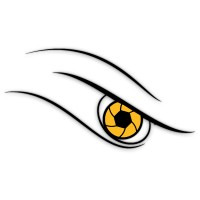 Eagle Sight logo - Similar company to Grouth