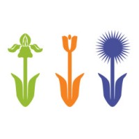 Little Miracles Designs LLC logo - Similar company to Terrabyte
