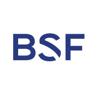 Boies Schiller Flexner LLP logo - Similar company to Hausfeld