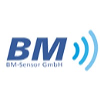 BM-Sensor GmbH logo - Similar company to Aco Automation Components - Moisture Measurement / Feuchtemessung