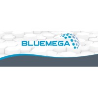 Bluemega logo - Similar company to Infodesca