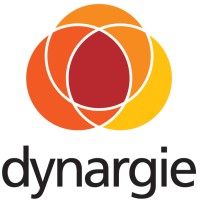Dynargie Czech Republic logo - Similar company to Dynargie