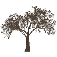 Rosenberg Advertising logo - Similar company to Hexen
