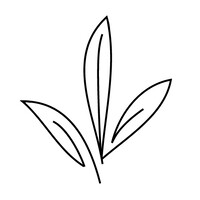 Cultivate Advisors logo - Similar company to Jireh Bookkeeping & Consulting Llc