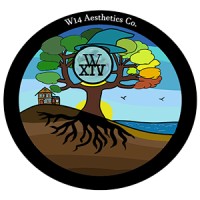 W14 Aesthetics
