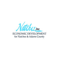 Natchez Inc logo - Similar company to Global Engineering Technology Pte Ltd