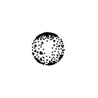 Real World Genetics Oy logo - Similar company to Entrlynk
