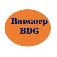 Bancorp Bureau De Change logo - Similar company to Dataklicks Hub