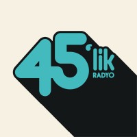 Radyo 45'lik logo - Similar company to Mindsgroup Infotech Llc