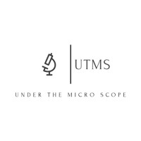 UTMS Recruitment logo - Similar company to Aali Services