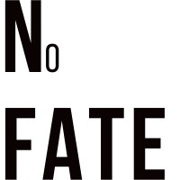 No FATE TEAM logo - Similar company to Novti