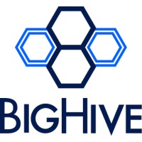 BigHive logo - Similar company to Bluehive Consulting