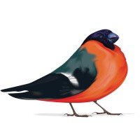 Bullfinch logo - Similar company to Motion Force
