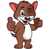 Dogechoco Crypto Chocolates logo - Similar company to Nohrbs