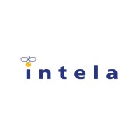 Intela Power Systems / Intela Güç Sistemleri logo - Similar company to Akterm Group