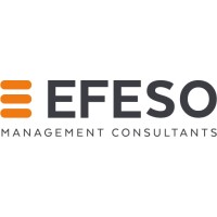 EFESO Middle East and Africa logo - Similar company to Bsm Lean Consultants