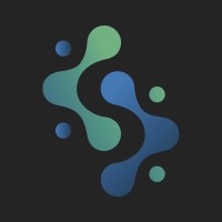 Codelisa DS logo - Similar company to Hexaworks