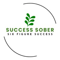 Success Sober logo - Similar company to Sts Labs