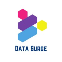 Data Surge logo - Similar company to Data Surge