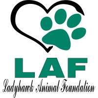 Ladyhawk Animal Foundation - ✨Love in Action✨ logo - Similar company to Amdepro Sac