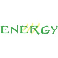 Energy Multiservizi logo - Similar company to Ergap Srl