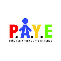 PAYE PR logo - Similar company to Qualis-Solutions, Llc