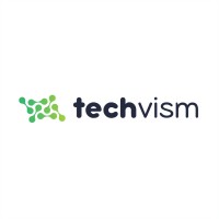 Techvism logo - Similar company to Shcodim_Armenia