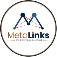 MetaLinks logo - Similar company to Walnut Software Solution
