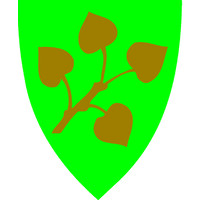 Stryn kommune logo - Similar company to Stad Kommune