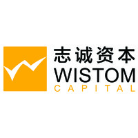 Wistom Capital LLP logo - Similar company to Edify Foundation