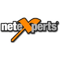 Netexperts logo - Similar company to Netexperts