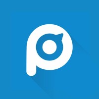 Prodoscore logo - Similar company to Datavertex Advisory
