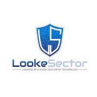 LookeSector logo - Similar company to Avenue X Group