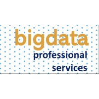 Bigdata Professional Services logo - Similar company to Cowin Technology