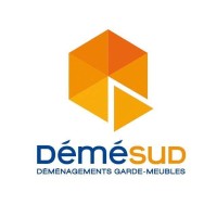 Déménagement Démésud logo - Similar company to Logistico Africa