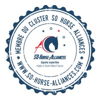 Cluster SO-Horse-Alliances logo - Similar company to Jod Communication